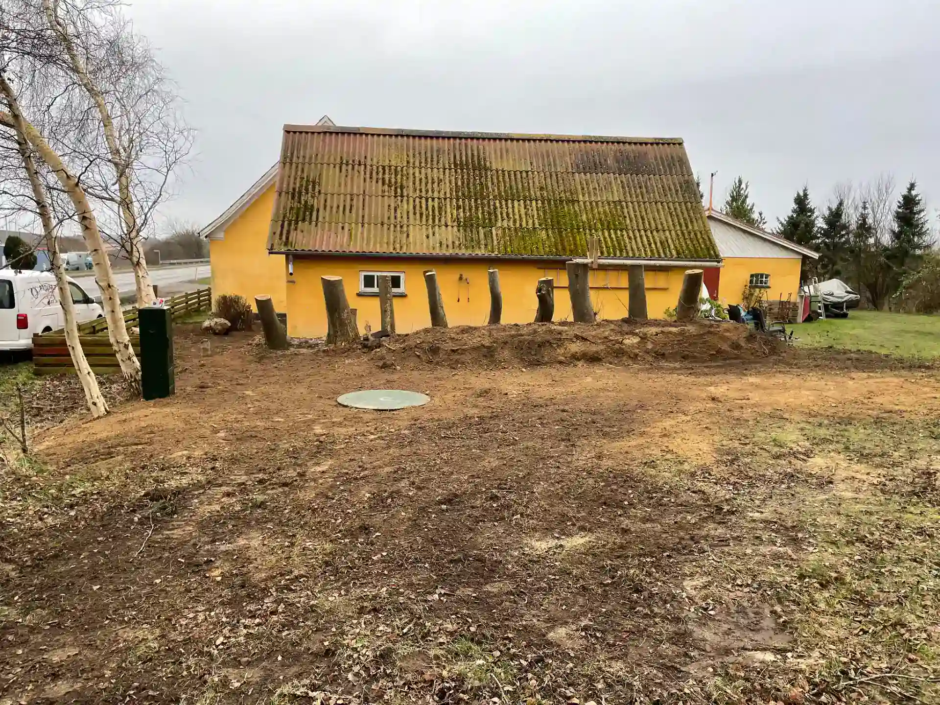 Ryvkebevægelse i baghaven, forberedelse til etablering af ny have, efter udskiftning af træstammer.